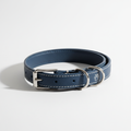 Collier Premium pour Chien